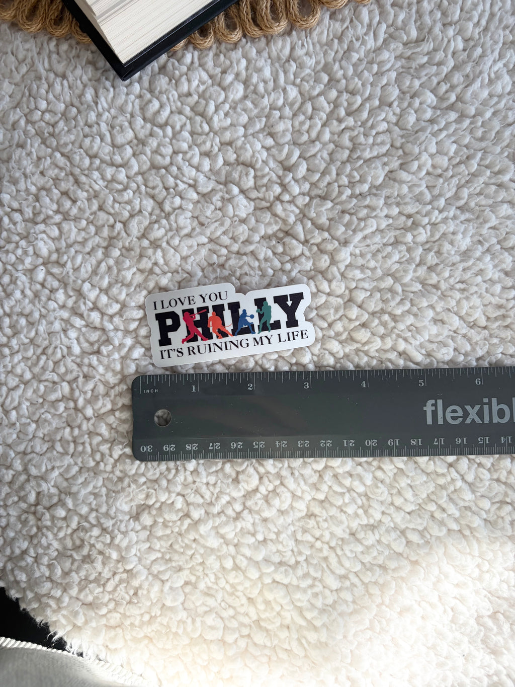 I love you Philly, it’s ruining my life sticker