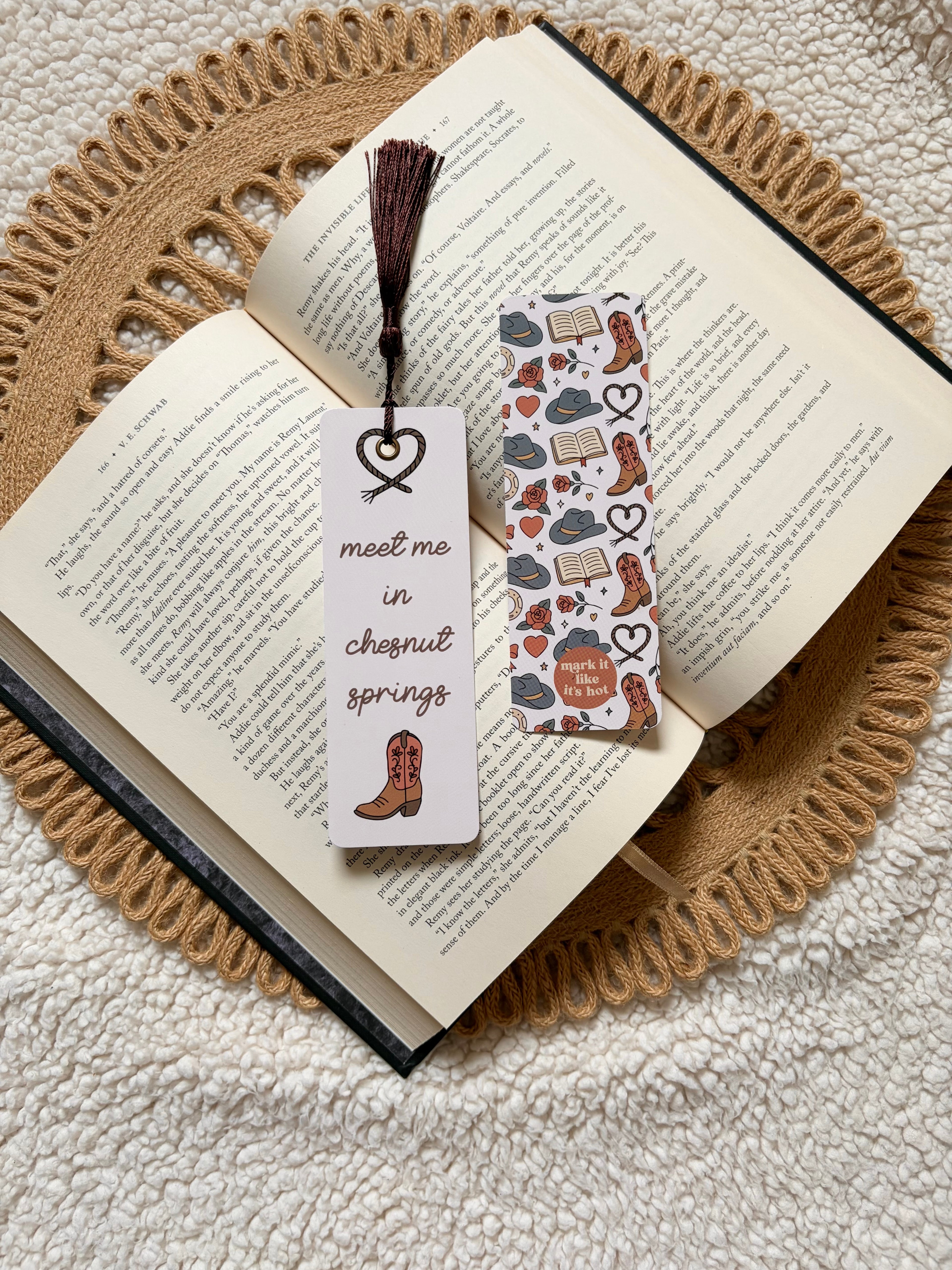 meet me in chestnut springs bookmark