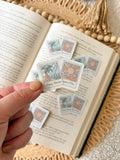 summer Polaroids sticker
