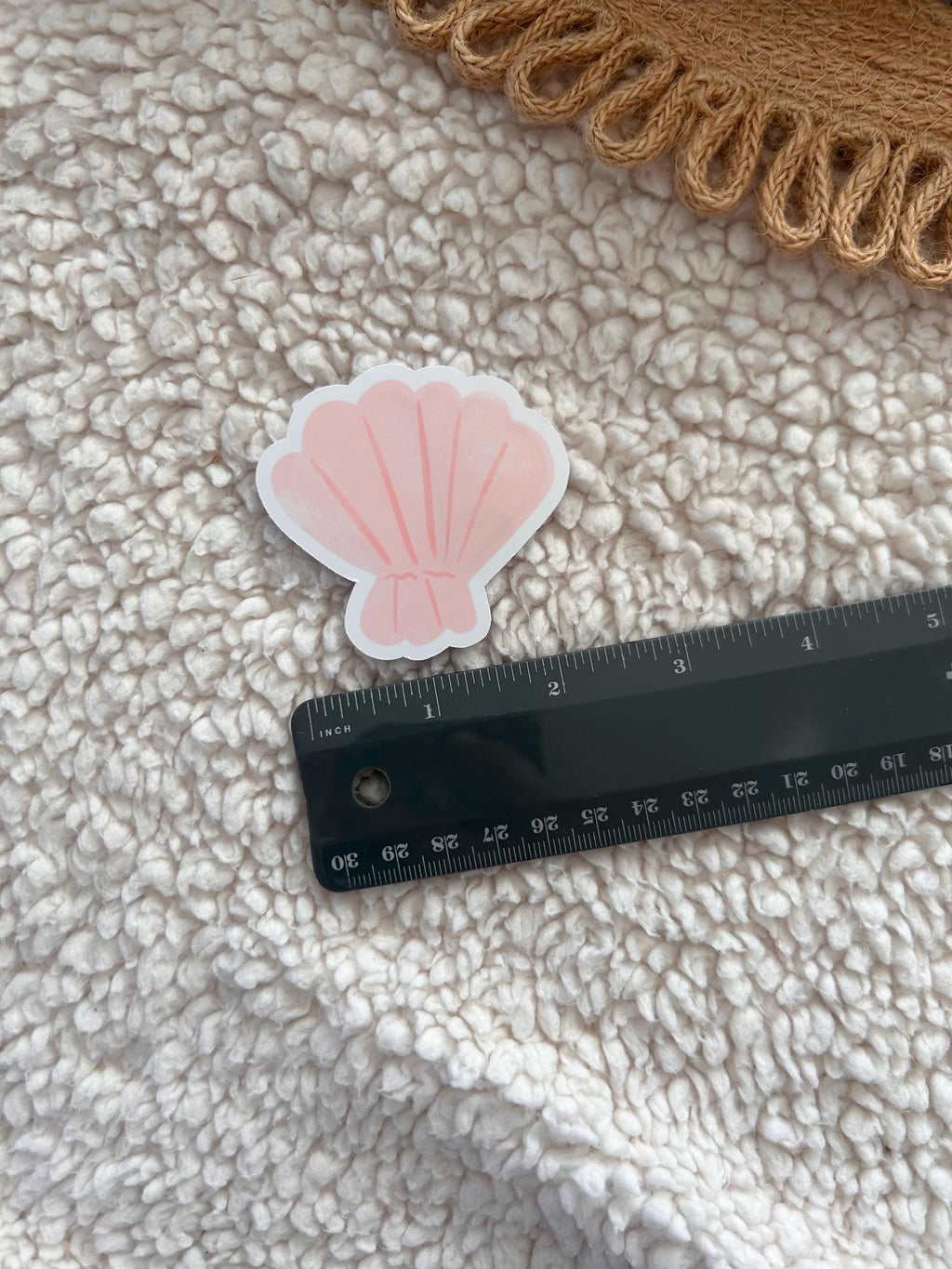 seashell sticker
