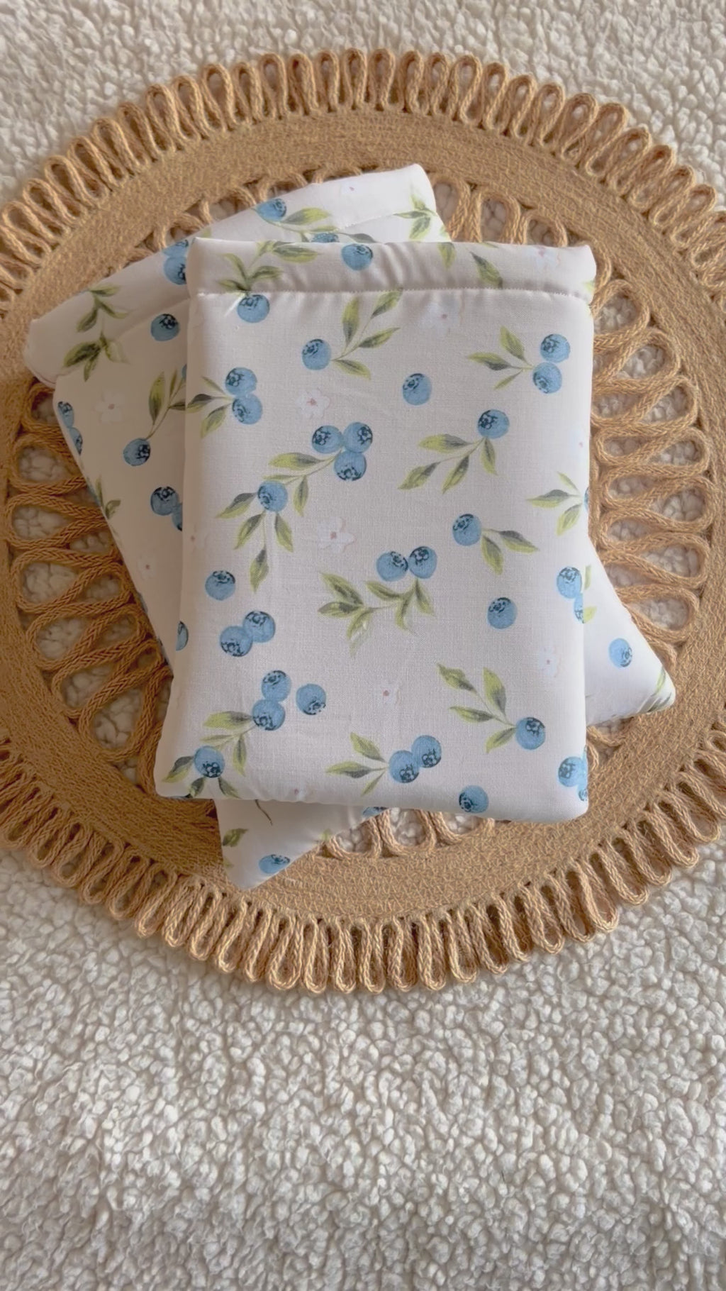 blueberries book & kindle sleeve